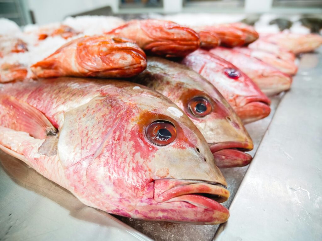 Pescado fresco expuesto en la pescadería Comercial Agraria Martínez