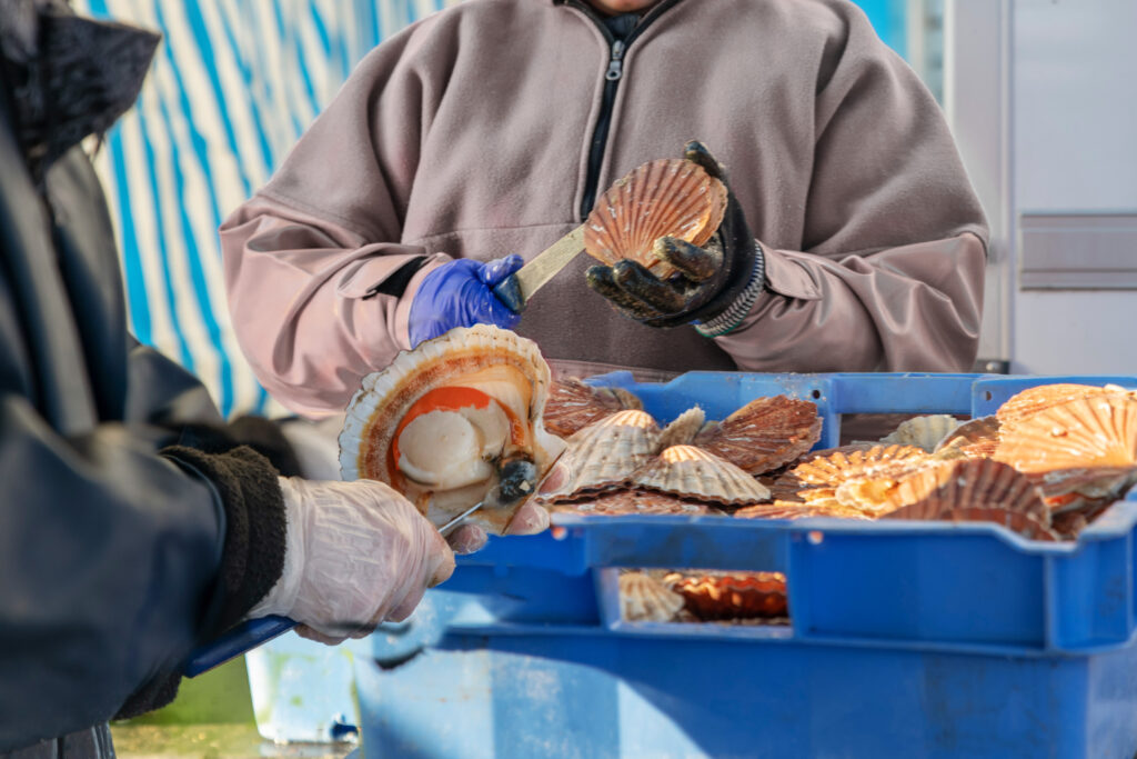 Pescaderas preparando vieiras